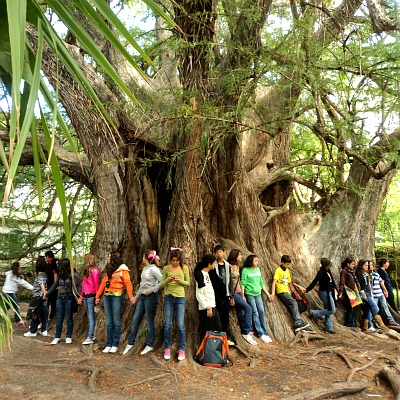 ecotours_nov2011